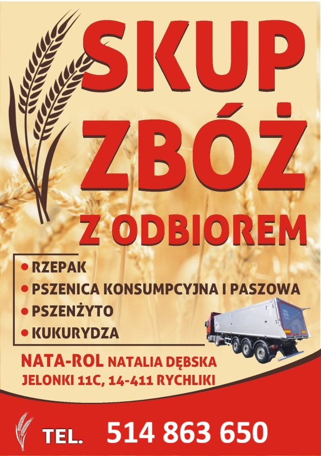 skup zbóż z odbiorem
